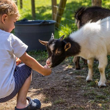 Hisa Lenart Lägenhet Tolmin Exteriör bild