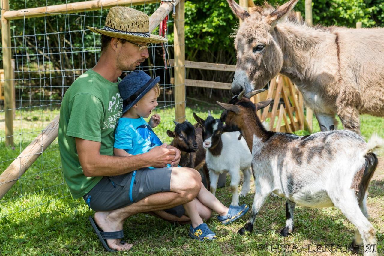 Hisa Lenart Lägenhet Tolmin Exteriör bild