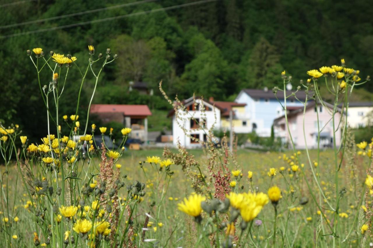 Hisa Lenart Lägenhet Tolmin Exteriör bild