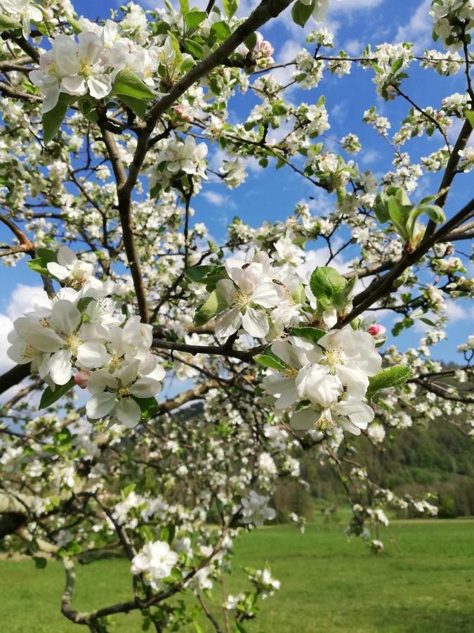 Hisa Lenart Lägenhet Tolmin Exteriör bild